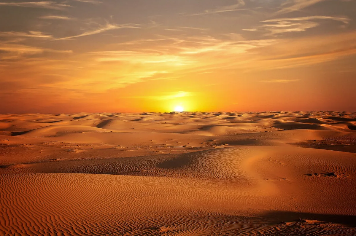 Dunes du Sahara tunisien au coucher du soleil