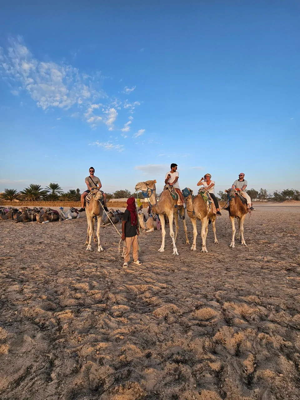 Ancienne facette de la Tunisie : Voyage en Famille – Tunis & Hammamet