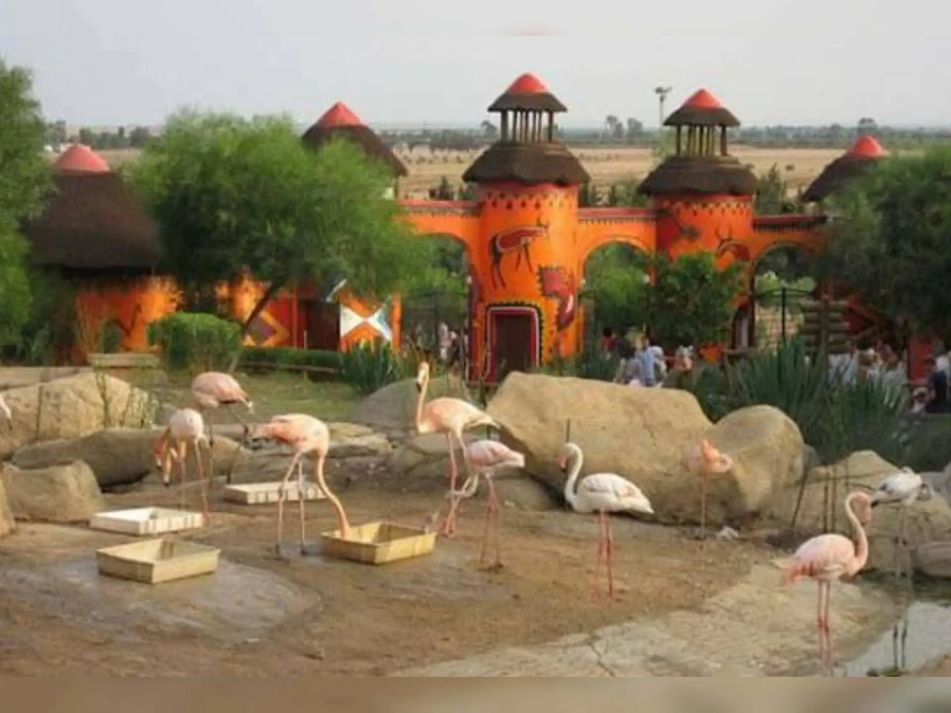 Depuis Monastir et plus : parc animalier de Friguia avec entrée — photo 8