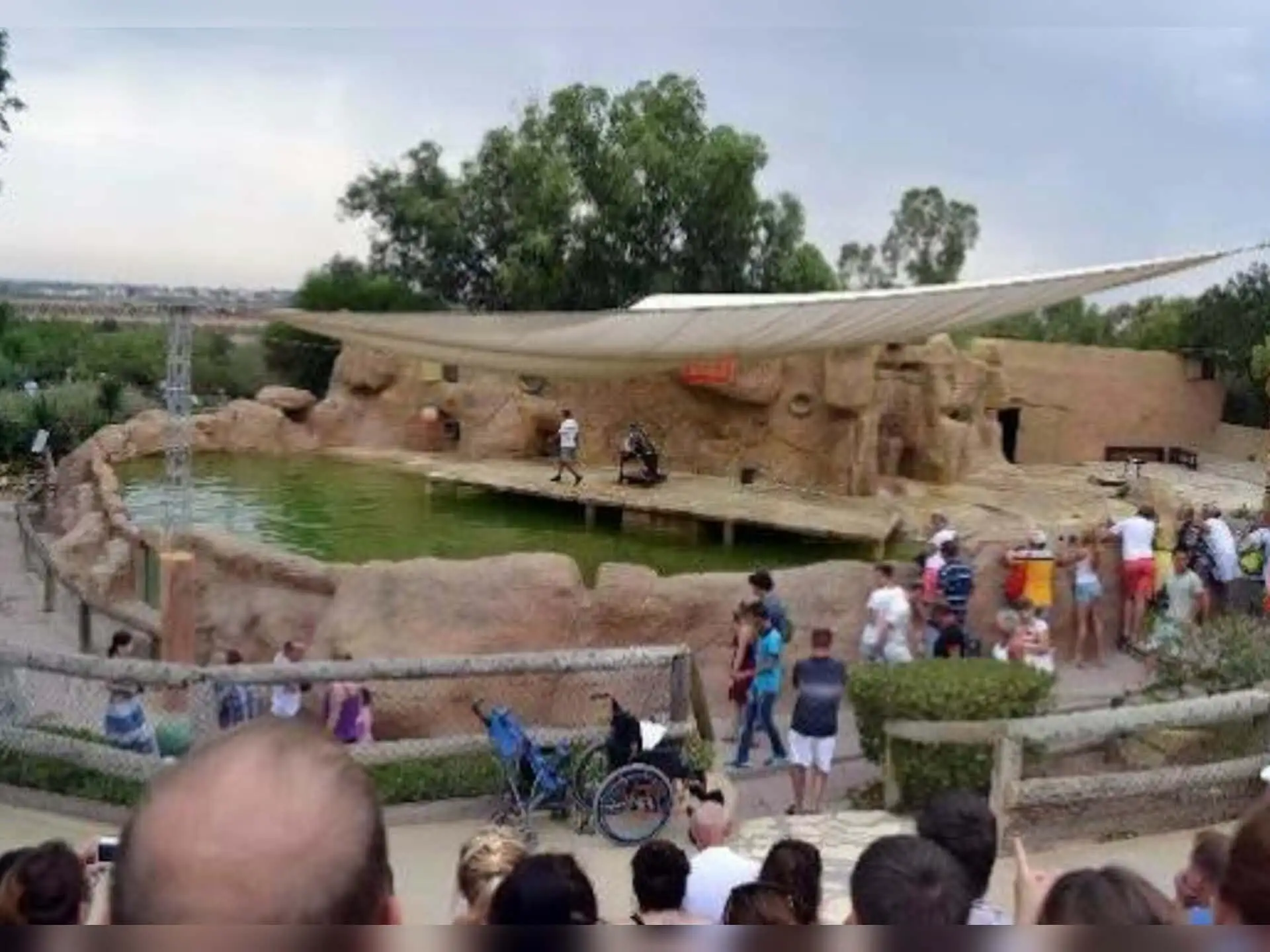 Depuis Monastir et plus : parc animalier de Friguia avec entrée