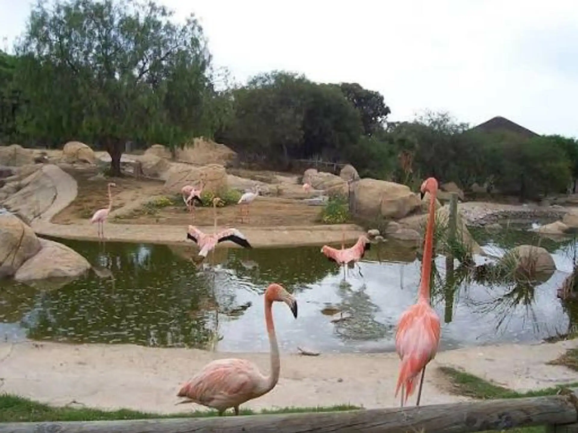 Depuis Monastir et plus : parc animalier de Friguia avec entrée — photo 2