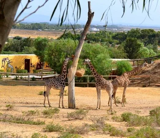 Depuis Monastir et plus : parc animalier de Friguia avec entrée — photo 12