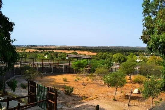 Depuis Monastir et plus : parc animalier de Friguia avec entrée — photo 17