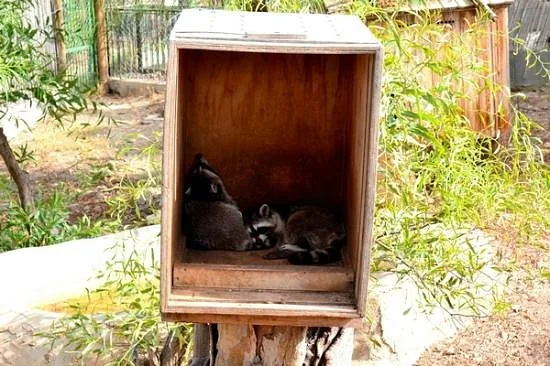 Depuis Monastir et plus : parc animalier de Friguia avec entrée — photo 18