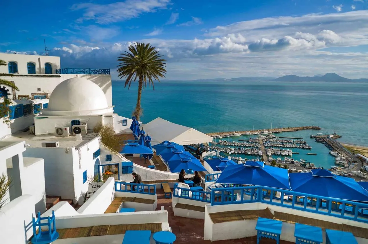 Excursion à Tunis et à Sidi Bou Saïd — photo 2