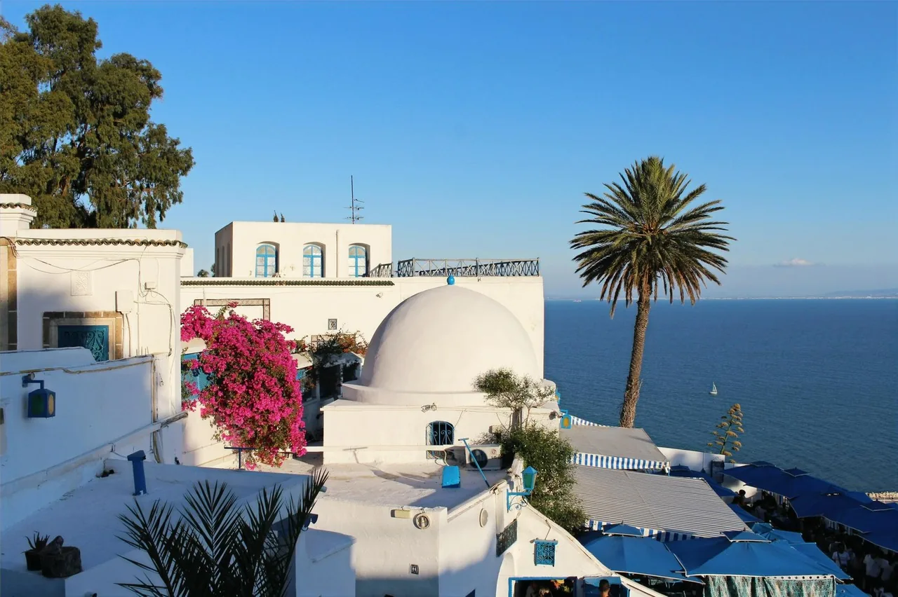 Excursion à Tunis et à Sidi Bou Saïd — photo 4
