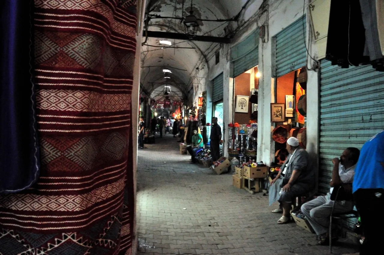 Tunis, Carthage et musée du Bardo : un voyage à travers l'histoire — photo 5