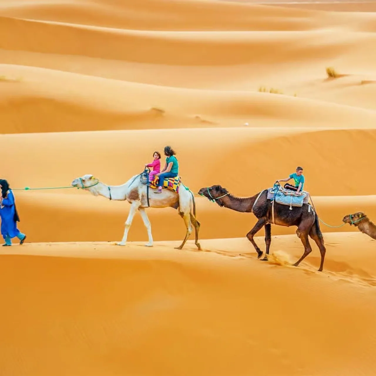 Voyage express dans le désert en visite d'une journée : Ksar Ghilane — photo 3